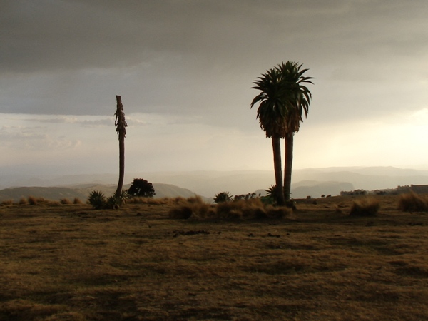 Ethiopské pohoří Simien