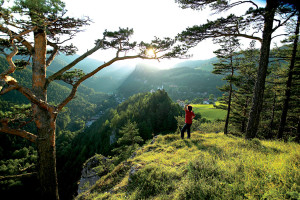 Pohled na obec Breitenstein